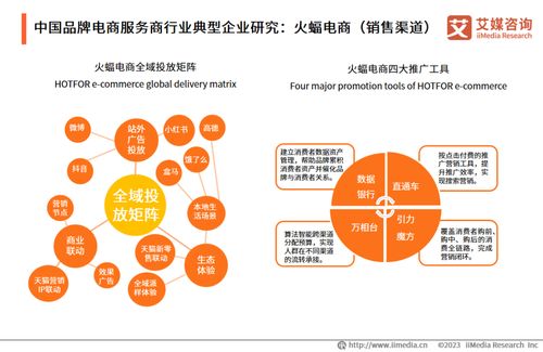 2023年中國(guó)品牌電商服務(wù)商行業(yè)研究報(bào)告 信息技術(shù)咨詢(xún)服務(wù)分析