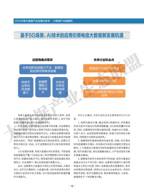 大數(shù)據(jù)產(chǎn)業(yè)生態(tài)聯(lián)盟2020中國大數(shù)據(jù)產(chǎn)業(yè)發(fā)展白皮書 大數(shù)據(jù)服務(wù)的崛起與變革